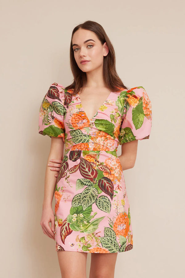 Aliza Dress in Avery Floral Pink