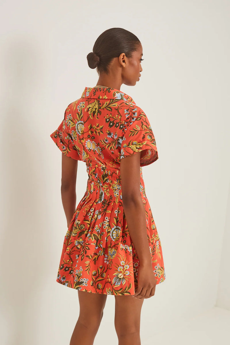 Nash Mini Dress in Clover Orange