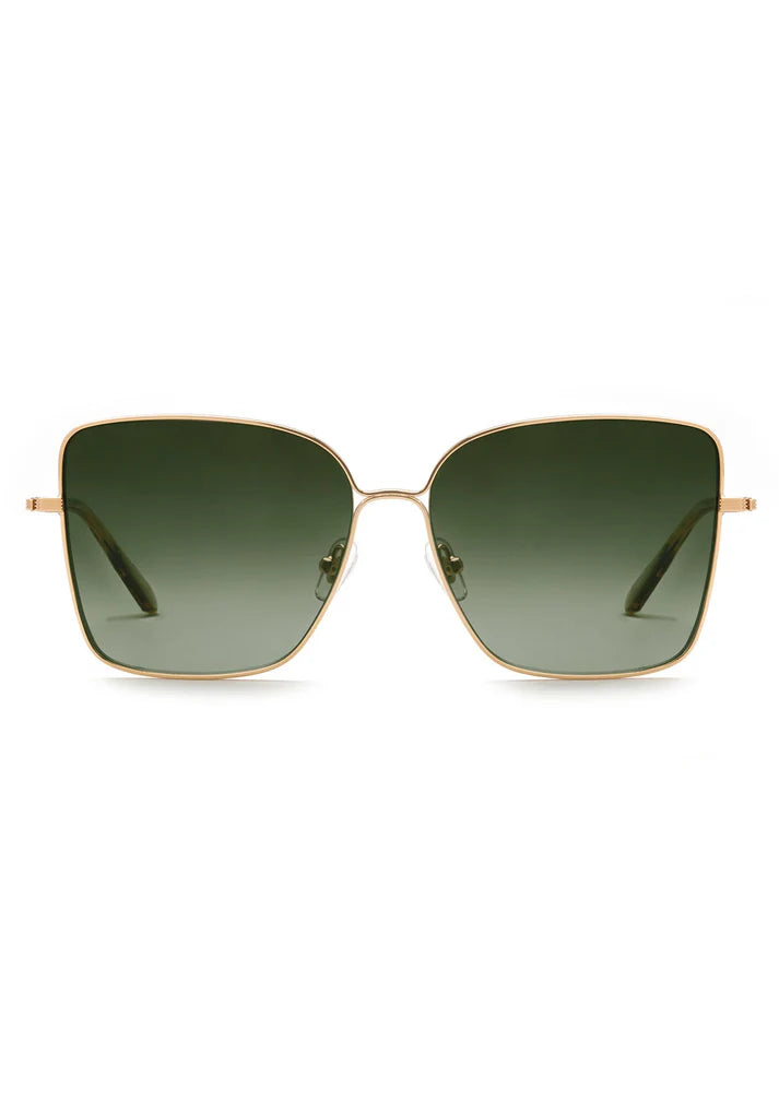 DOLLY | 24K + Sweet Tea Polarized