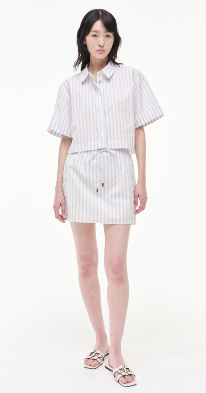 Catherine Skirt in French Blue Stripe