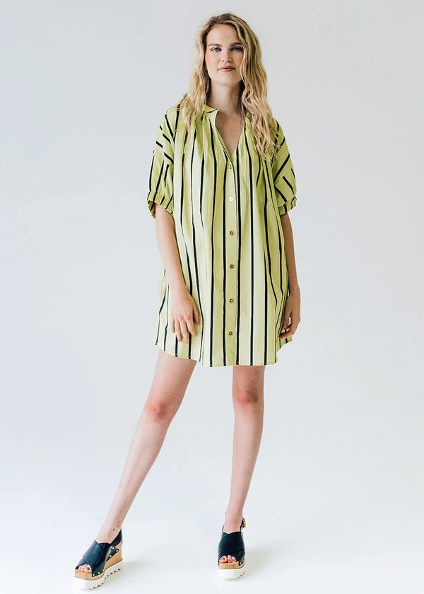 Elastic Sleeve Dress in Lime Cabana Stripe